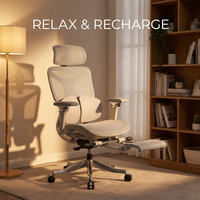 Chaise d'ordinateur AOR avec cadre en fibre de nylon, appui-tête 4D Xiaoyao, châssis multifonctionnel inclinable vers l'avant, vente en gros d'usine