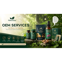 Poudre de baies d'açaï lyophilisées HBEUNDAS en vrac, poudre de fruit d'açaï naturelle de qualité alimentaire pour smoothies et boissons
