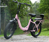 Vélo électrique pliable à pneus larges de 20 pouces, 1000W, 48V, 15Ah, en alliage d'aluminium, pour les trajets quotidiens en ville et les voyages sur route
