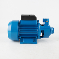 1 pouce sortie fonte QB60 électrique 0.5HP 0.37kW prix compétitif vente en gros pompes de pompage périphériques ferme pompe à eau domestique
