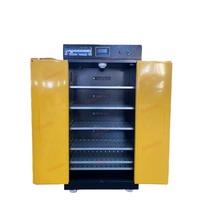Armoire de stockage et de charge de batterie au Lithium étanche au feu intelligente approuvée CE Stekellin