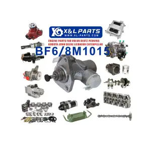 X & L BF6M1015 BF8M1015C发动机燃油泵04221527 02931459，用于Deutz发动机零件