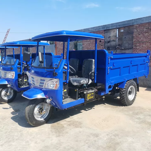 Triciclo de Transporte para Adultos de 20hp - Product Image 3