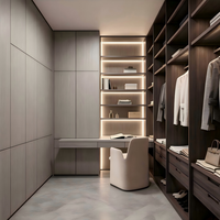 Panneaux de contreplaqué imperméables de qualité supérieure E0 pour projets hôteliers, bureau d'étude sans poignée, dressing pour hommes, organisateur de vêtements