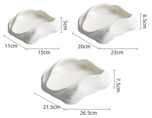 Plato de Cerámica Irregular de Alta Gama, Plato de Servir Blanco Artístico para Restaurante y Hogar, Plato de Cerámica Creativo para Comida Fría - Product Image 3