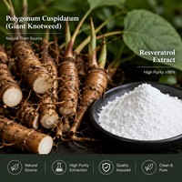 Extrait de Polygonum Cuspidatum Naturel en Poudre Qualité Alimentaire 50% 98% Trans-Resvératrol Emballé Sous Vide en Contenant en Verre
