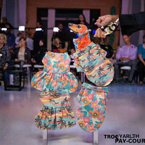 Vêtements pour animaux de compagnie, chemise de plage estivale de style hawaïen à imprimé ananas pour chiens et chats, vente chaude - Product Image 3