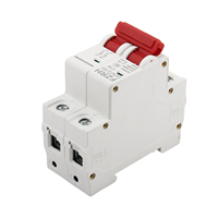 Disjoncteur miniature (MCB) solaire FALIANG pour système DC 500V 2P 10kA 125A en plastique, usage industriel