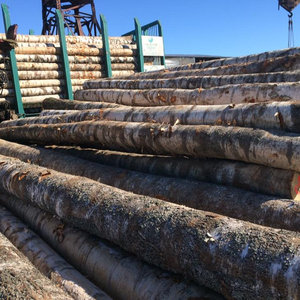 Madera de Azobé Africana, Madera Dura de Grado de Exportación, Troncos Redondos de 60 cm de Diámetro y 4 m de Longitud, Origen del Oeste de África - Product Image 2