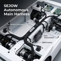 Arnés de Cableado Principal para Vehículo Autónomo SEJOW, Personalizado OEM, Integración de ECU Multibranco, IP67