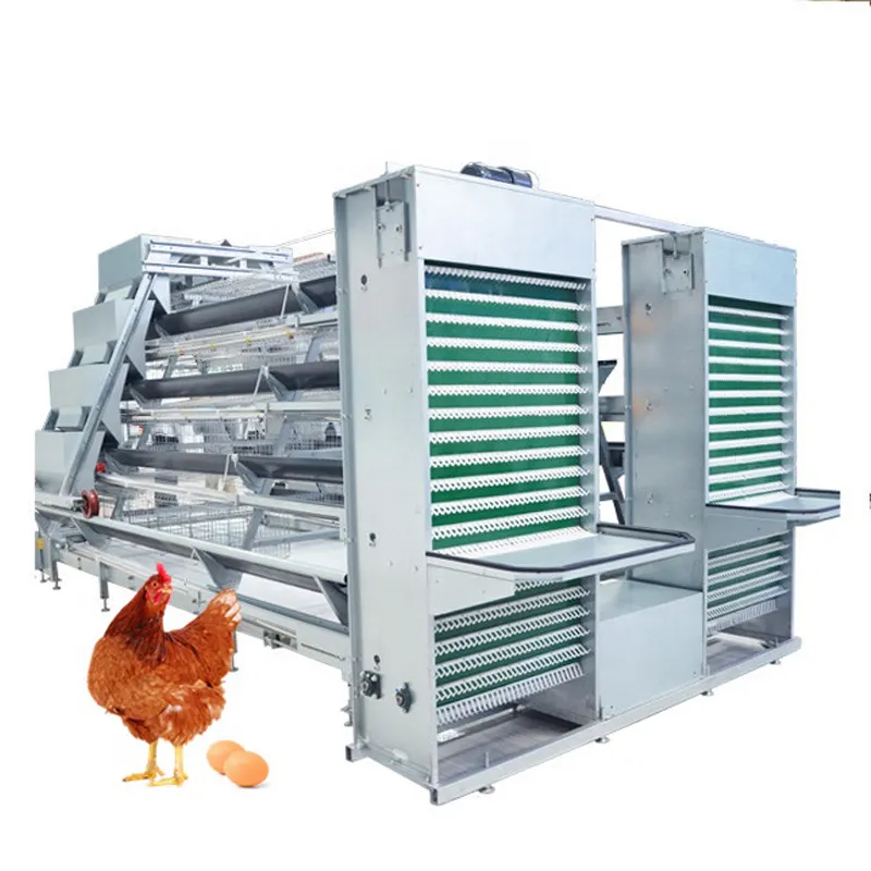 गर्म बिक्री स्वचालित 4 स्तर एक प्रकार की जस्ती परत चिकन/मुर्गी पालन के लिए चिकन पिंजरे रखना