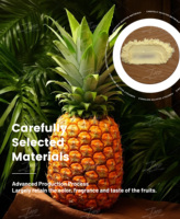 Poudre de jus d'ananas biologique naturelle lyophilisée soluble dans l'eau de qualité alimentaire en vrac pour boissons