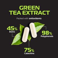 Extrait de thé vert végétalien de haute qualité, grains de café vert, Garcinia, antioxydant, gestion du poids, contrôle de l'appétit, brûleur de graisse