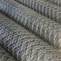 Grillage hexagonal pour élevage de volailles, galvanisé + revêtement PVC + acier inoxydable résistant à la corrosion pour poulailler