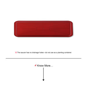 Plato Rectangular de Plástico Rojo Terracota (<span class=keywords><strong>M</strong></span>) para Macetas, sin Orificios de Drenaje, Diseño Protector para Uso en Jardín - Product Image 5