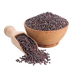 Graines de moutarde noire entières séchées, graines de moutarde noire indiennes, épice naturelle de graines de moutarde noire, graines de moutarde noire entières séchées - Product Image 1
