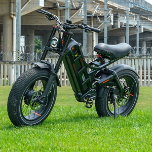 Ehora 52 נ '60ah כוח מנוע מותאם אישית טווח ארוך היברידית 120 ק "מ מצב סיוע בדוושות' - Product Image 1