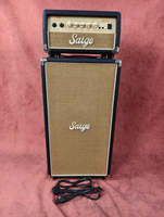 Amplificateur de basse électrique haute puissance OEM, 100 W, audio pour performance guitare, sortie multi-ports, dédié à la scène