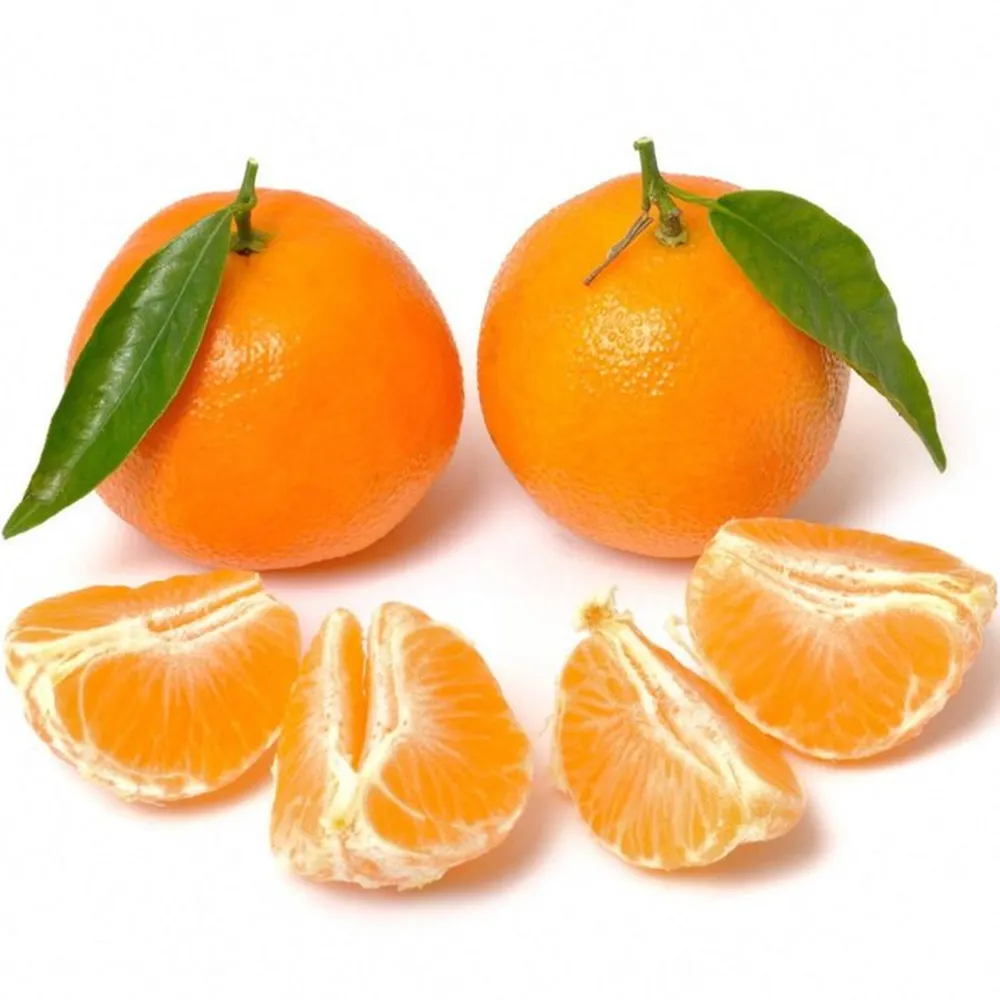 Fresh High Quality Sweet Tangerine Cheap Small Tangerine Citrus Orange Fruit with Leaves from China Wholesale Purchase