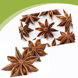 Anís Estrellado al por Mayor <span class=keywords><strong>con</strong></span> Tallos, Piezas Secas, Especia Aromática China para Cocinar, Se Acepta OEM - Product Image 4