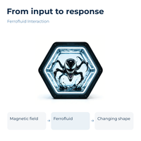 Exposition scientifique interactive sur l'interaction des ferrofluides hexagonaux, présentation éducative STEM pour les écoles et les musées scientifiques