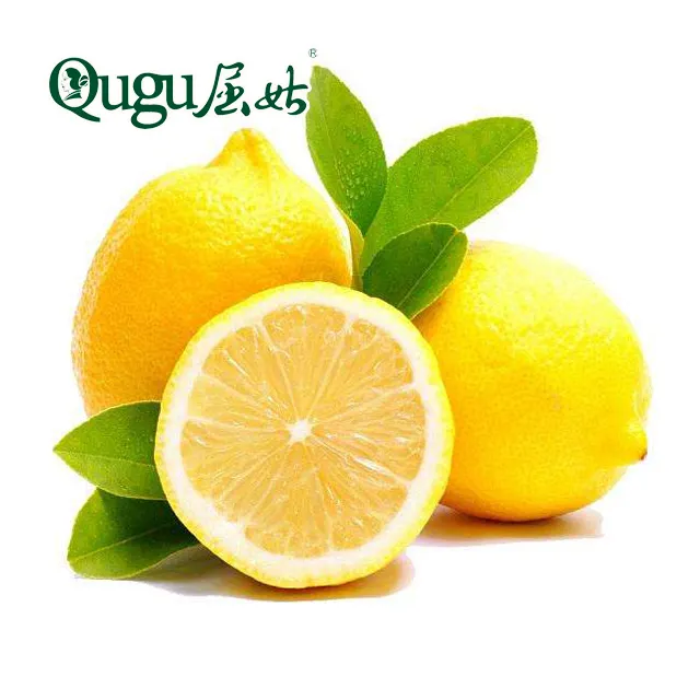 Grosir Lemon Segar Eureka