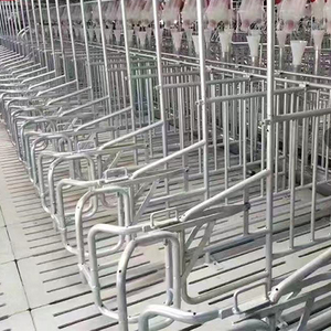 Sembrar caja de gestación de alta calidad embarazada cerdo caja de gestación en animales jaula para venta - Product Image 5