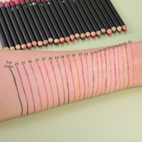 Ensemble Rouge à Lèvres et Crayons à Lèvres Crémeux – Kit Rouge à Lèvres Liquide Longue Tenue Marque Privée – Vente en Gros Personnalisée de Rouges à Lèvres Mat