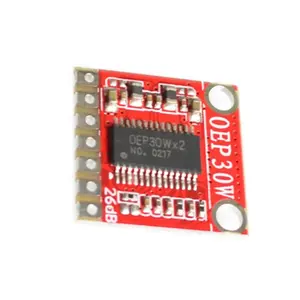 Hot Sales Oep 30W Mono Digitale Versterker Board Module Diy Versterker Kit 30W D Klasse