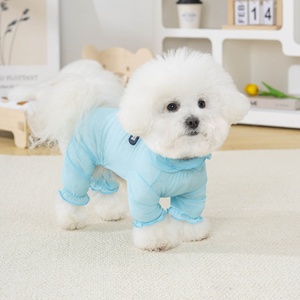 Nouvelle tenue imperméable pour chien 2026 – Manteau quatre pattes en maille <span class=keywords><strong>anti</strong></span>-moustiques, style décontracté pour printemps, été, automne - Product Image 6