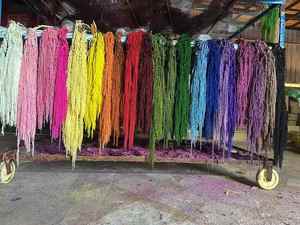 Fiori di Amaranto Naturali Conservati all'Ingrosso, Amaranto Pendente per Decorazioni Matrimoniali - Product Image 3