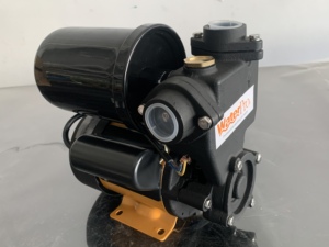 Pompa Elettrica Silenziosa Autoadescante Personalizzata da 250W per Acqua Pulita, Uso Domestico - Product Image 2