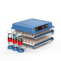 Vente en gros à usage domestique 9-400 couveuse d'œufs Mini 64 incubateurs d'œufs de poule à double puissance entièrement automatiques