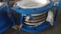 Junta de Expansión Metálica Revestida de PTFE XQH-BCQ DN100 L95mm PN0.25Mpa, Serie para Sistema de Tuberías Resistente a la Corrosión, Absorbe Impactos Bruscos