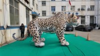 Léopard gonflable publicitaire personnalisé, Léopard américain gonflable, Guépard gonflable pour décoration extérieure