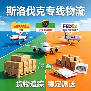 Servicio de Envío Aéreo Exprés de DHL, UPS y FedEx de China a Eslovaquia, Logística con Seguimiento Estable - Product Image 1
