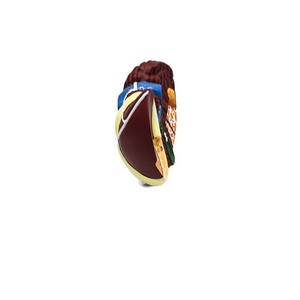 Modelo patológico de hígado humano; estructura cáncerica del hígado; herramienta de enseñanza y formación médica - Product Image 5