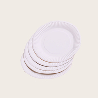 Assiette à gâteau peinture bricolage à la main pour la maternelle assiette en papier blanc jetable assiette de barbecue