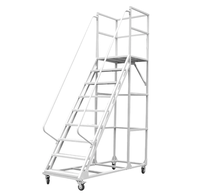 Échelle mobile multifonctionnelle avec plateforme de travail, passerelle industrielle, escalier en acier, design moderne pour usage en entrepôt