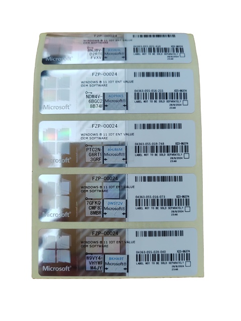 Globally Online Activation Computer Software License OEM Key Label for Win 11 IOT Enterprise Value Silver COA Sticker Lifetime