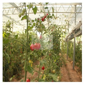 Kits de serres agricoles économiques à faible coût, profilés <span class=keywords><strong>en</strong></span> aluminium pour la construction de tunnels de culture, solaires passifs, utilisés dans l'agriculture - Product Image 3