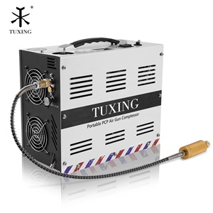 TUXING nouveau Style haute qualité 12V 4500psi 300bar 30mpa convertisseur intégré 220V arrêt automatique natation respiration PCP compresseur d'air - Product Image 1