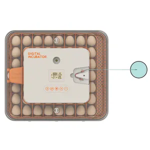 Incubadoras solares caseras 2024 de 150 de para granja de incubadora de pollos en Georgia 56 incubadoras para incubar huevos incubadora Ac y Dc