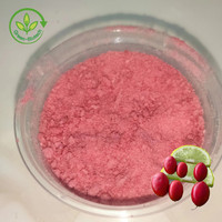 Poudre d'extrait de fruit Miracle Berry, qualité alimentaire sauvage, Synsepalum Dulcificum