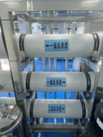 Machine de filtre de dispositif d'eau pure Système de purificateur d'eau industrielle Déionisation Machines à eau ultra-pure adoucies