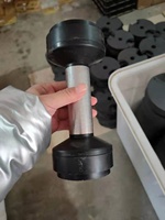 Ensemble d'haltères réglables ROARFIT 100 lb pour haltères 45 kg Prix Pakistan