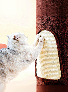 Natuurlijke sisal omwikkelde boomton kattentoren met afgesloten nest en dubbeldekker klimrek, een multifunctionele grote toren - Product Image 6
