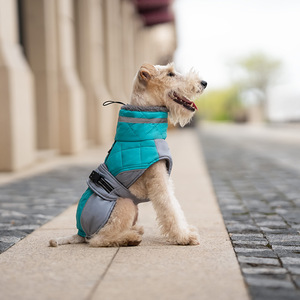 Manteau d'hiver de luxe en polyester à motif uni pour chien avec harnais intégré pour lévrier – Vente en gros OEM/ODM - Product Image 6