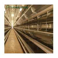 Cages en batterie pour poulets pondeurs de ferme avicole (10 000-100 000 unités) – Cages pour animaux de ferme avicole