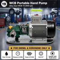 WCB 75 2800 U/min Tragbare Elektrische Selbstansaugende Zahnradölpumpe 75 LPM 0,75 KW Legierungsstahl Zahnrad-Transformatorenölpumpe